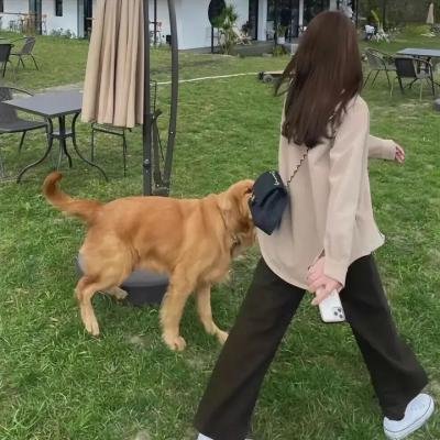 圣诞接班人